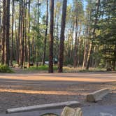 Review photo of Christopher Creek by M N., May 13, 2026