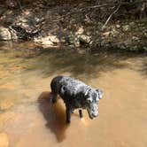 Review photo of Christopher Creek by M N., May 13, 2026