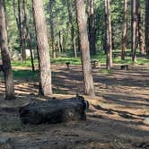 Review photo of Christopher Creek by Bob B., April 15, 2026