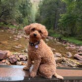 Review photo of Christopher Creek by Maria A., September 12, 2026