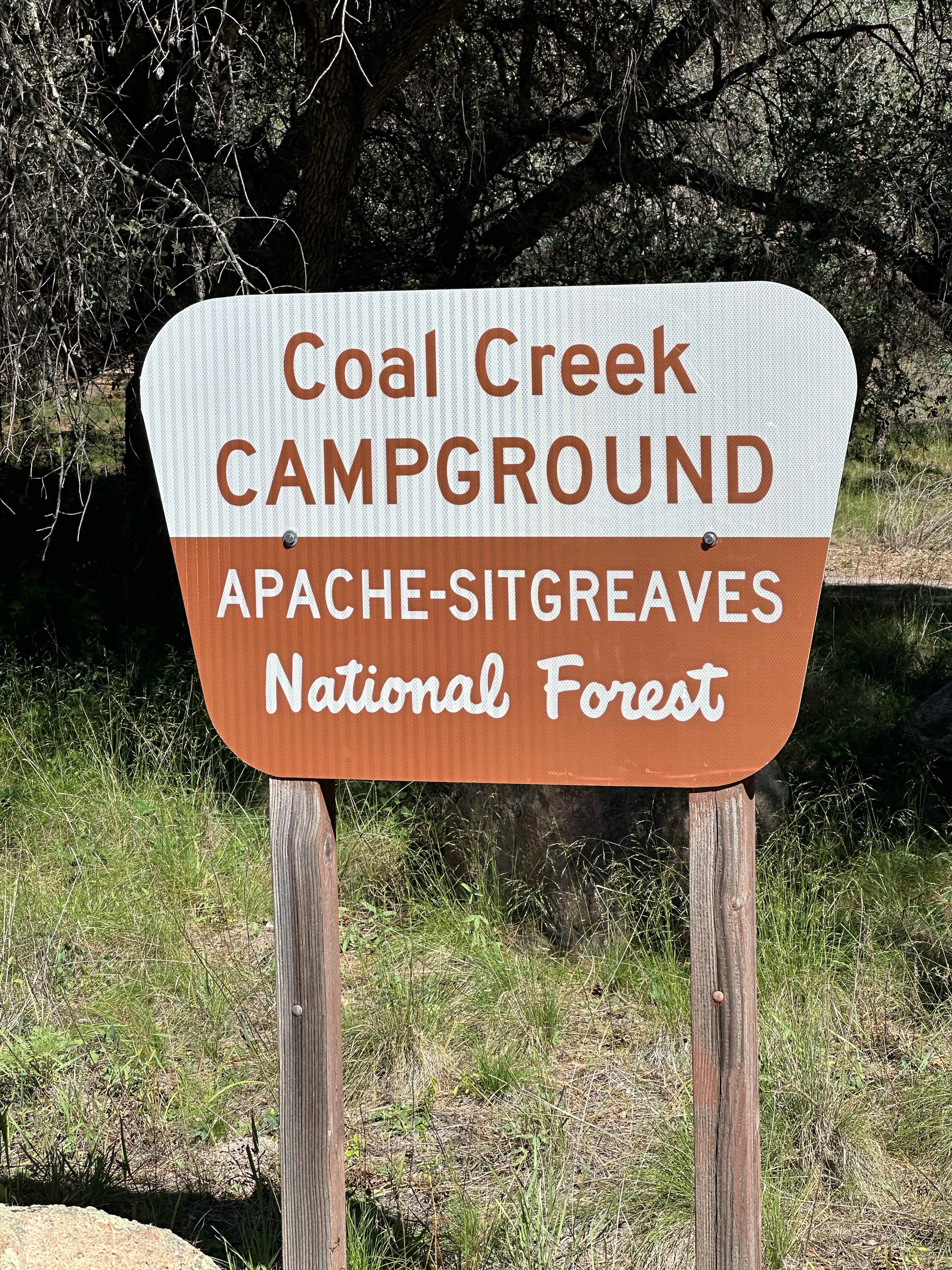 Camper-submitted photo at Coal Creek Campground near Morenci, AZ