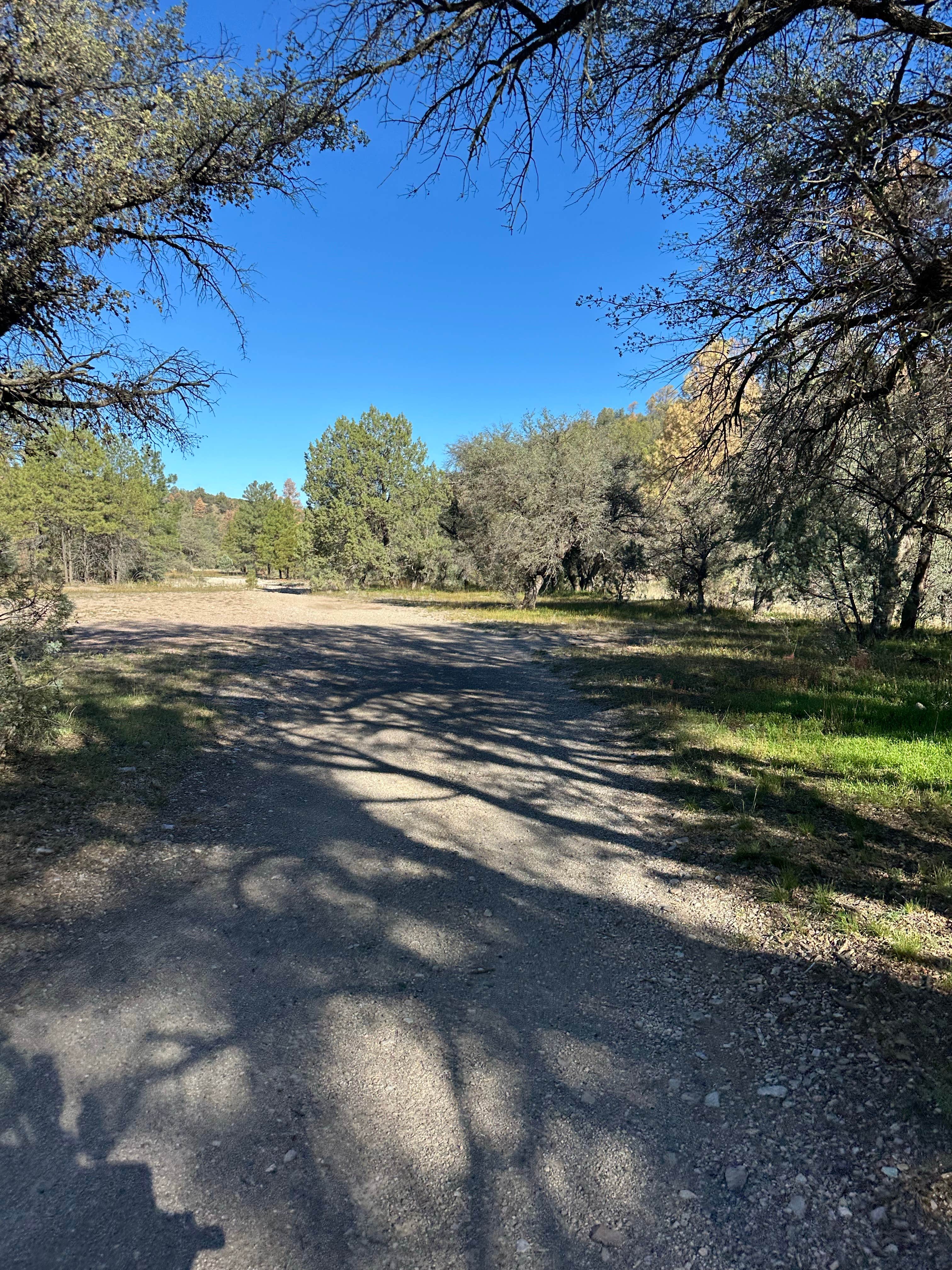 Camper-submitted photo at Coal Creek Campground near Morenci, AZ