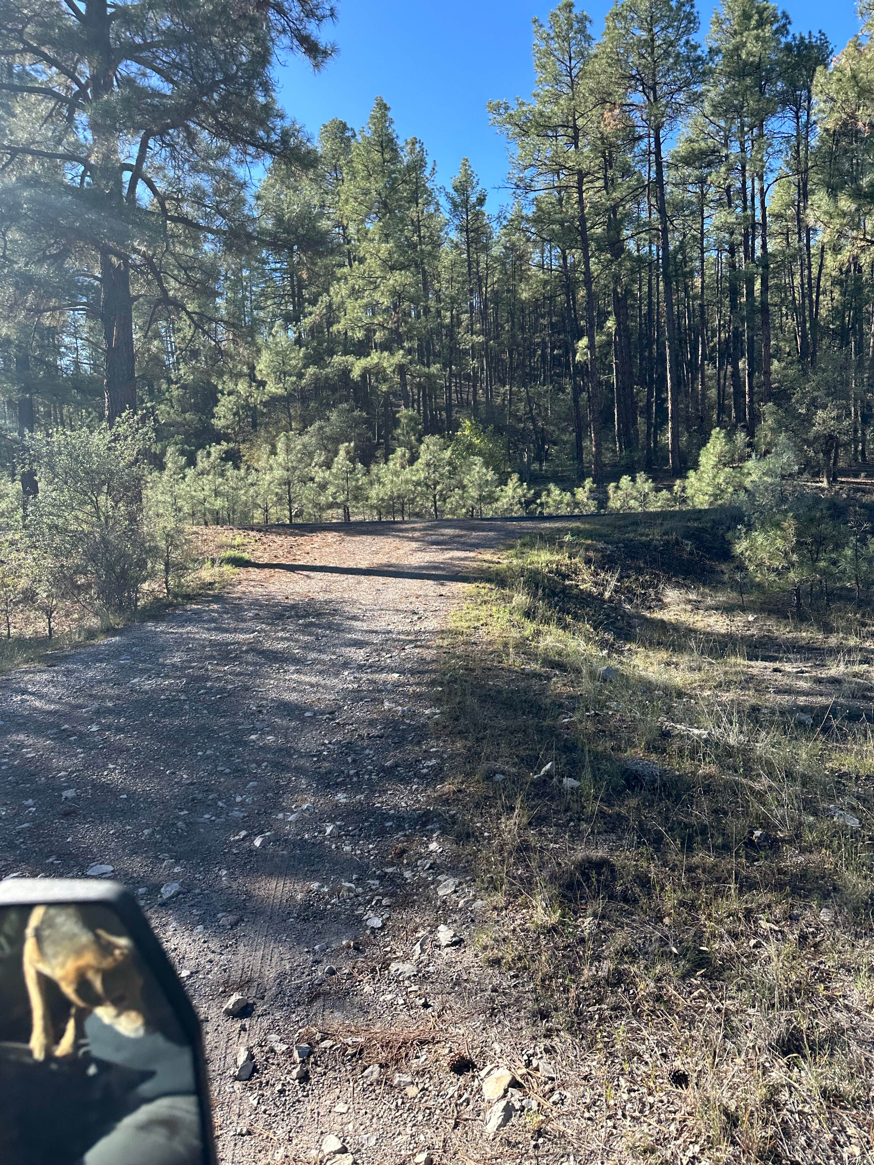 Camper submitted image from Coal Creek Campground - 4