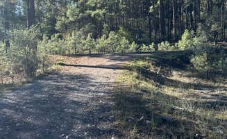 Alisa P.'s photo of camping with pets at Coal Creek Campground near Blue, AZ