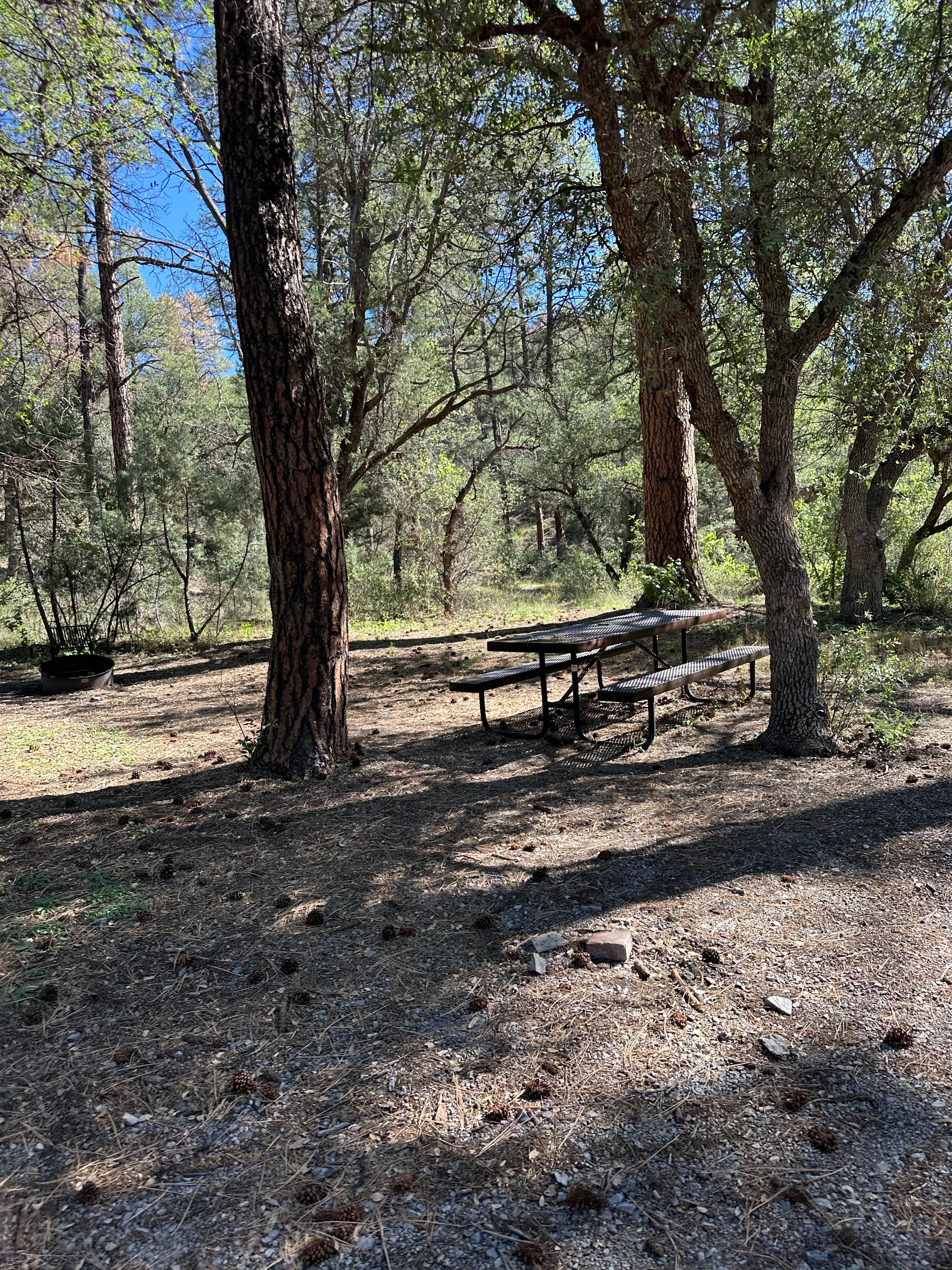 Camping near Owl Creek Campground: Coal Creek Campground, Clifton, Arizona