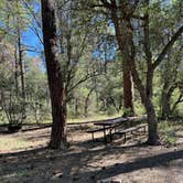 Review photo of Coal Creek Campground by Alisa P., October 28, 2025