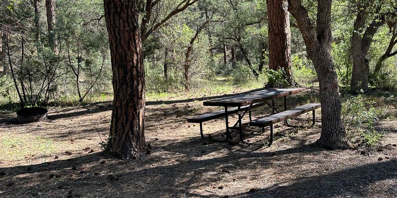 Camper submitted image from Coal Creek Campground