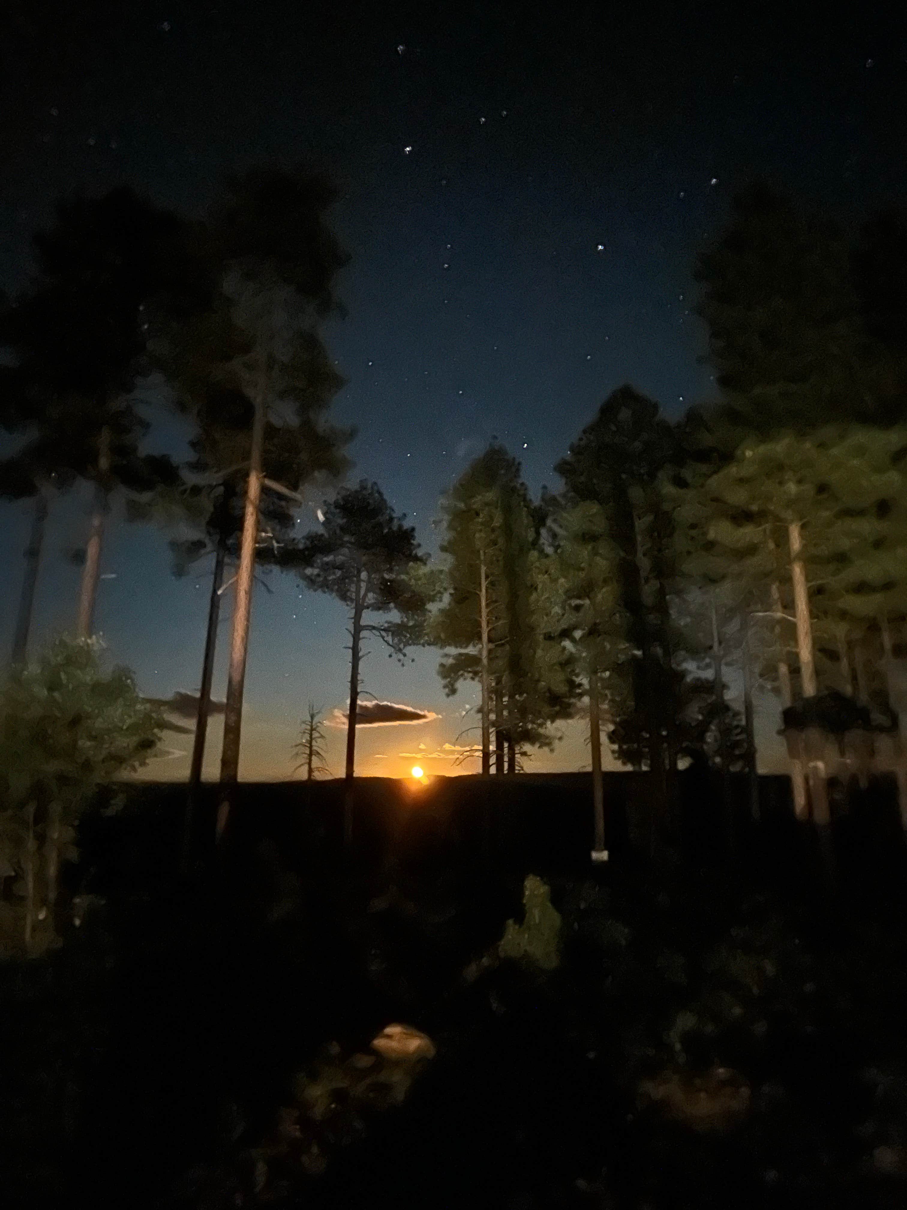 Camper-submitted photo at Colcord Ridge Campground near Kohls Ranch, AZ