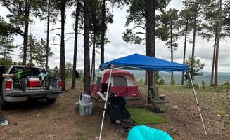 Caitlin S.'s photo at Colcord Ridge Campground near Young, AZ