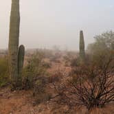 Review photo of Darby Wells Rd BLM Dispersed by Ray N., January 10, 2026