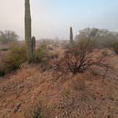 Review photo of Darby Wells Rd BLM Dispersed by Ray N., January 10, 2026