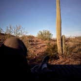 Review photo of Darby Wells Rd BLM Dispersed by Ray N., January 10, 2026