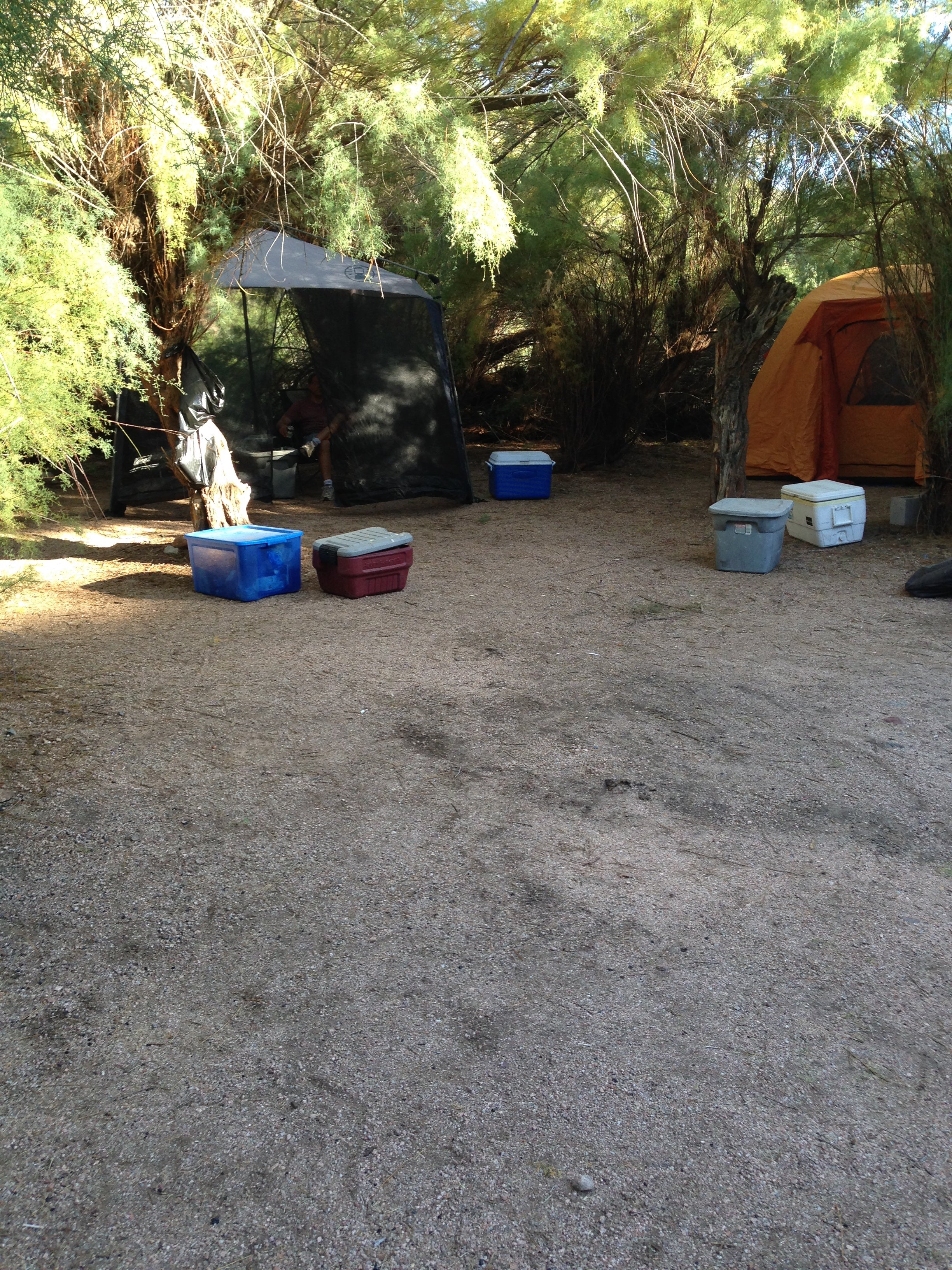 Camper submitted image from Davis Wash - TEMPORARILY CLOSED - 1