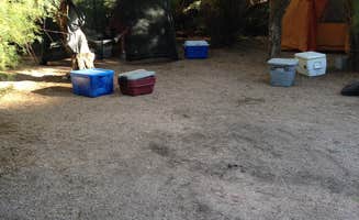 Rachel P.'s photo at Davis Wash - TEMPORARILY CLOSED near Tonto National Forest