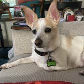 Review photo of Dead Horse Ranch State Park Campground by Edgard P., December 27, 2025