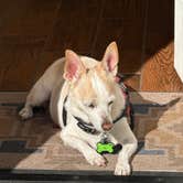 Review photo of Dead Horse Ranch State Park Campground by Edgard P., December 27, 2025