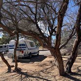 Review photo of Dead Horse Ranch State Park Campground by Kathy B., March 19, 2025