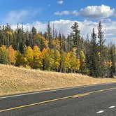 Review photo of DeMotte National Forest Campground by Carol B., October 12, 2024