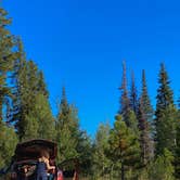 Review photo of DeMotte National Forest Campground by Lori D., November 28, 2023