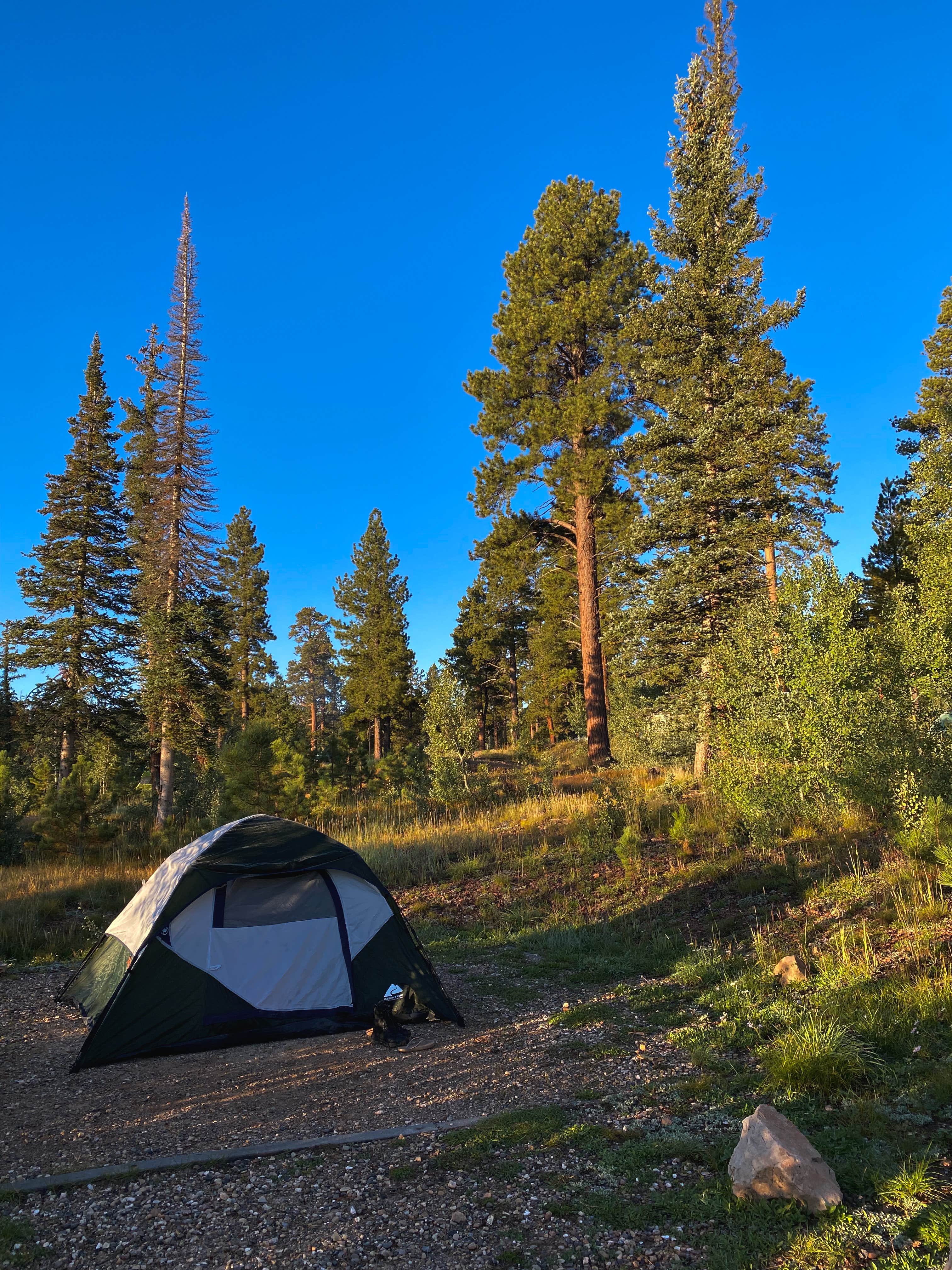 Lori D.'s photo at DeMotte National Forest Campground near Supai, AZ