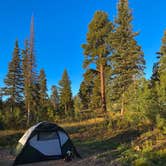 Review photo of DeMotte National Forest Campground by Lori D., November 28, 2023