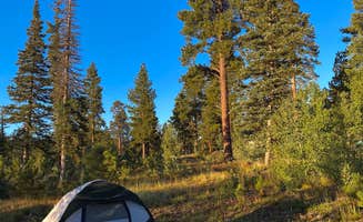 Lori D.'s photo at DeMotte National Forest Campground near Supai, AZ