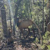 Review photo of Desert View Campground — Grand Canyon National Park by Christian R., October 20, 2023