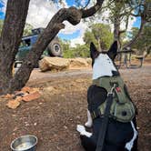 Review photo of Desert View Campground — Grand Canyon National Park by Robert L., September 10, 2026