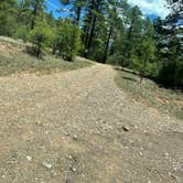 Review photo of Diamond Creek Number Two Campground by Maria F., August 18, 2025