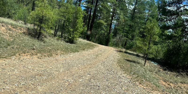 Camper submitted image from Diamond Creek Number Two Campground