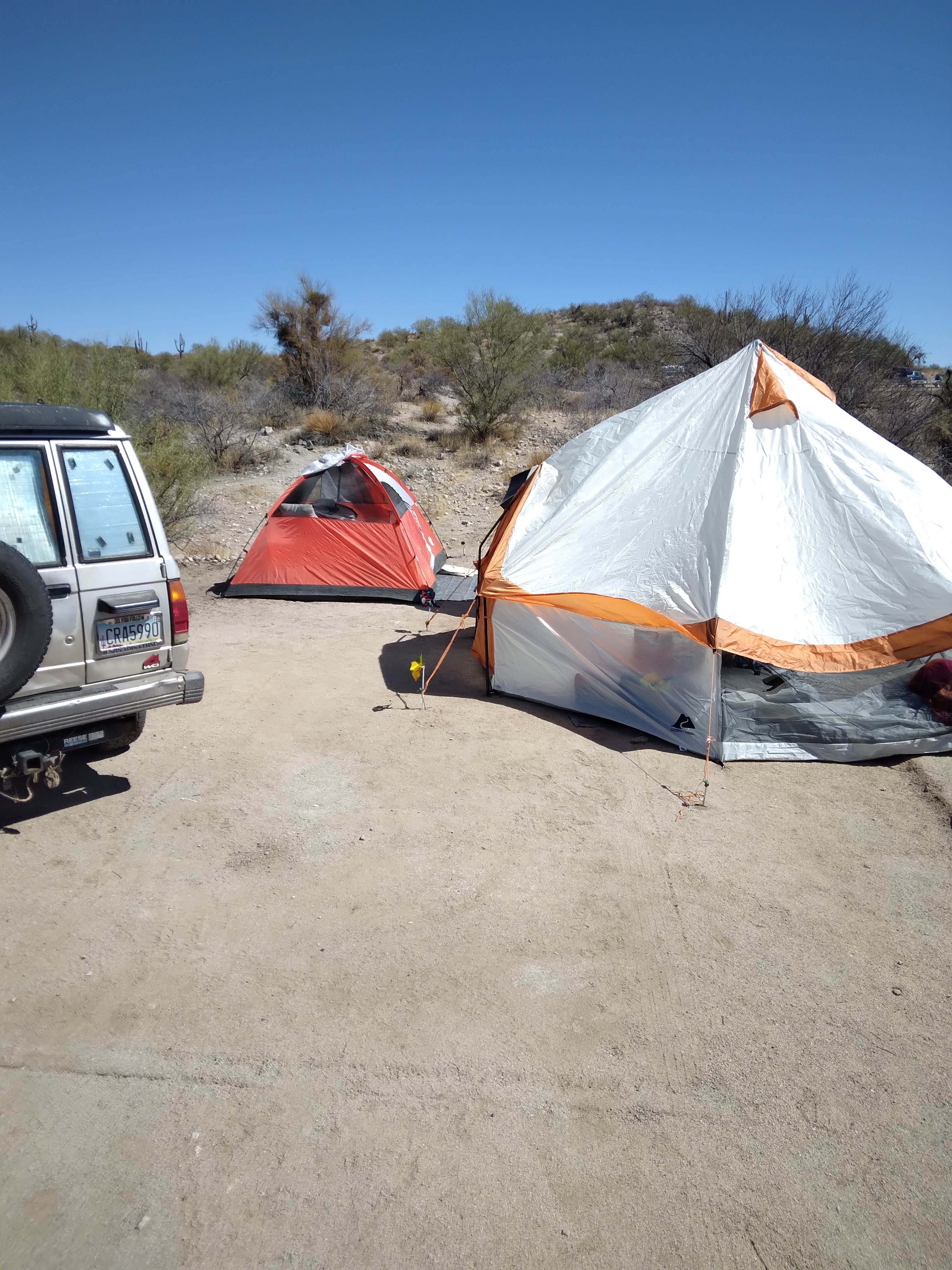 Lloyd H.'s photo at Constellation Park near Sun City West, AZ