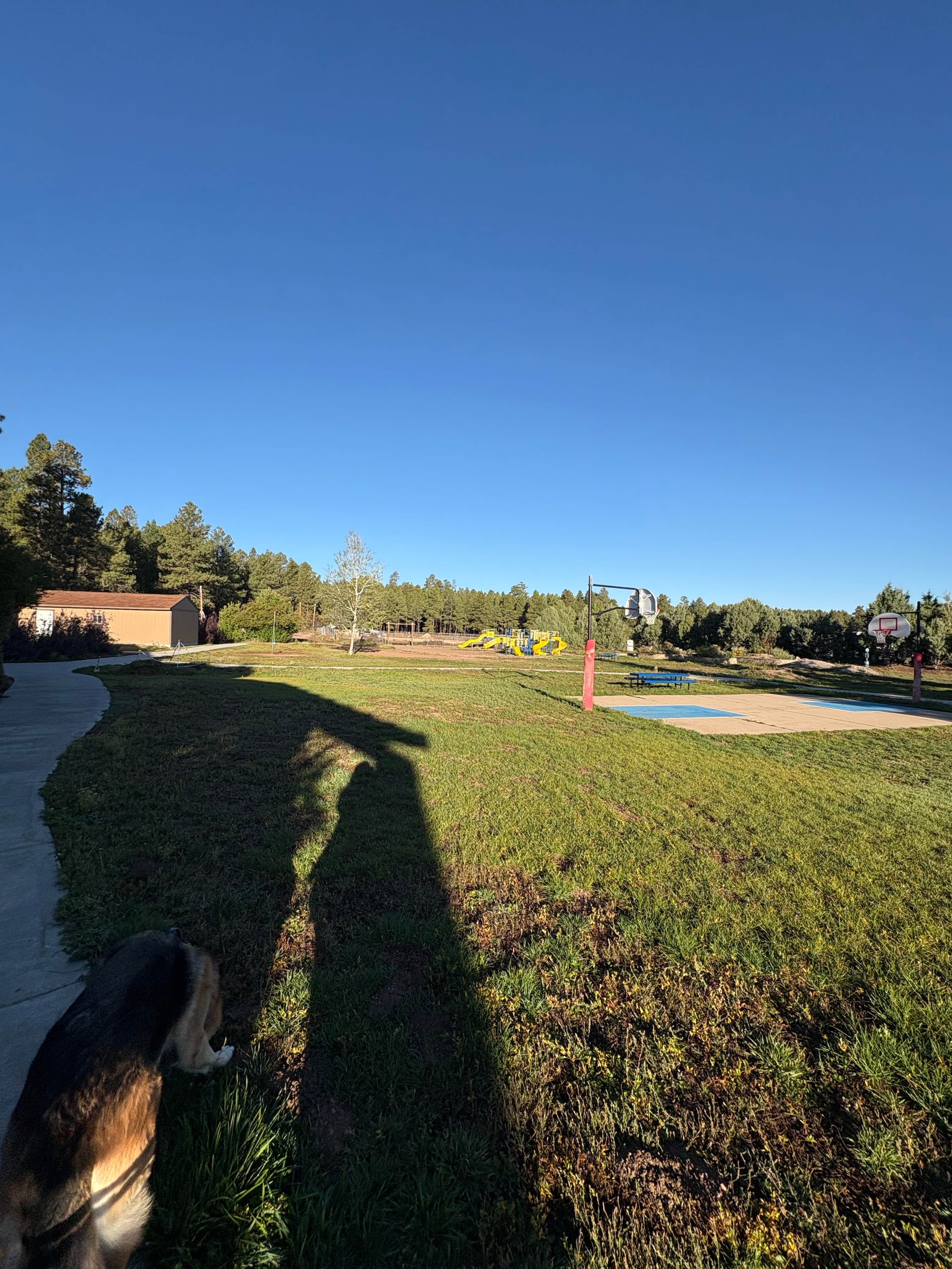 Susan C.'s photo of camping with pets at Fort Tuthill Luke AFB Recreation Area near Flagstaff, AZ