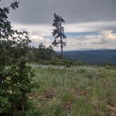 Review photo of Fr 171 Campground by Patrick C., July 22, 2024