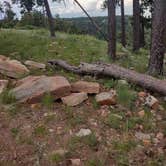 Review photo of Fr 171 Campground by Patrick C., July 22, 2024