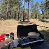 Review photo of Fr 171 Campground by Jazmyn R., June 9, 2026