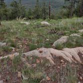 Review photo of Fr 171 Campground by Patrick C., July 22, 2024