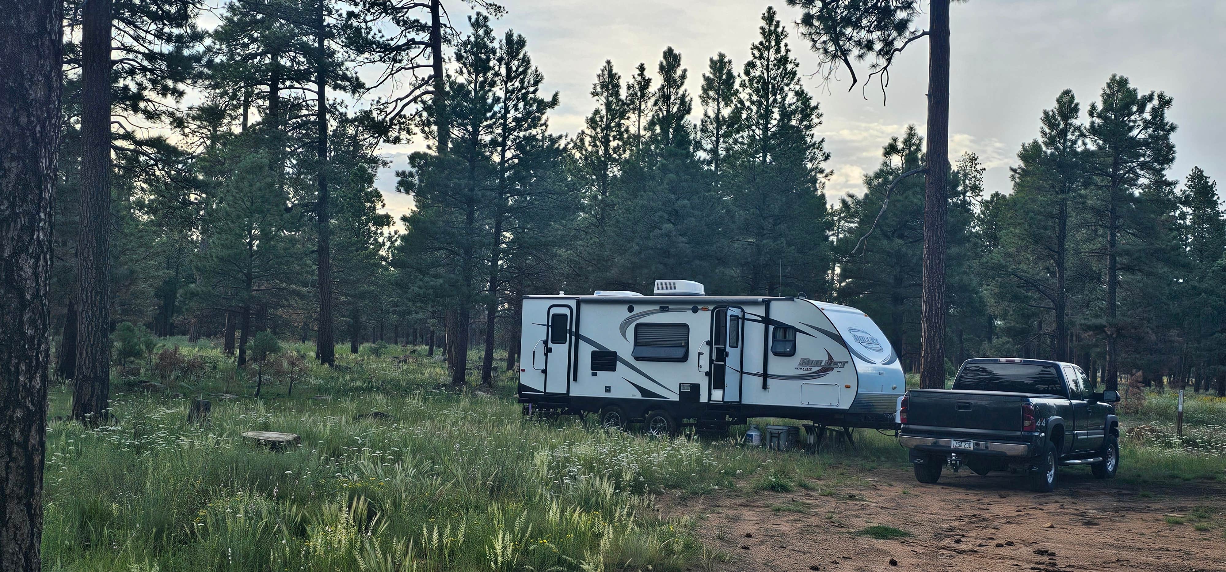 DiAnn N.'s photo of rv camping at Fr 171 Campground near Sun Valley, AZ