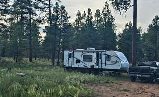 DiAnn N.'s photo of rv camping at Fr 171 Campground near Kohls Ranch, AZ