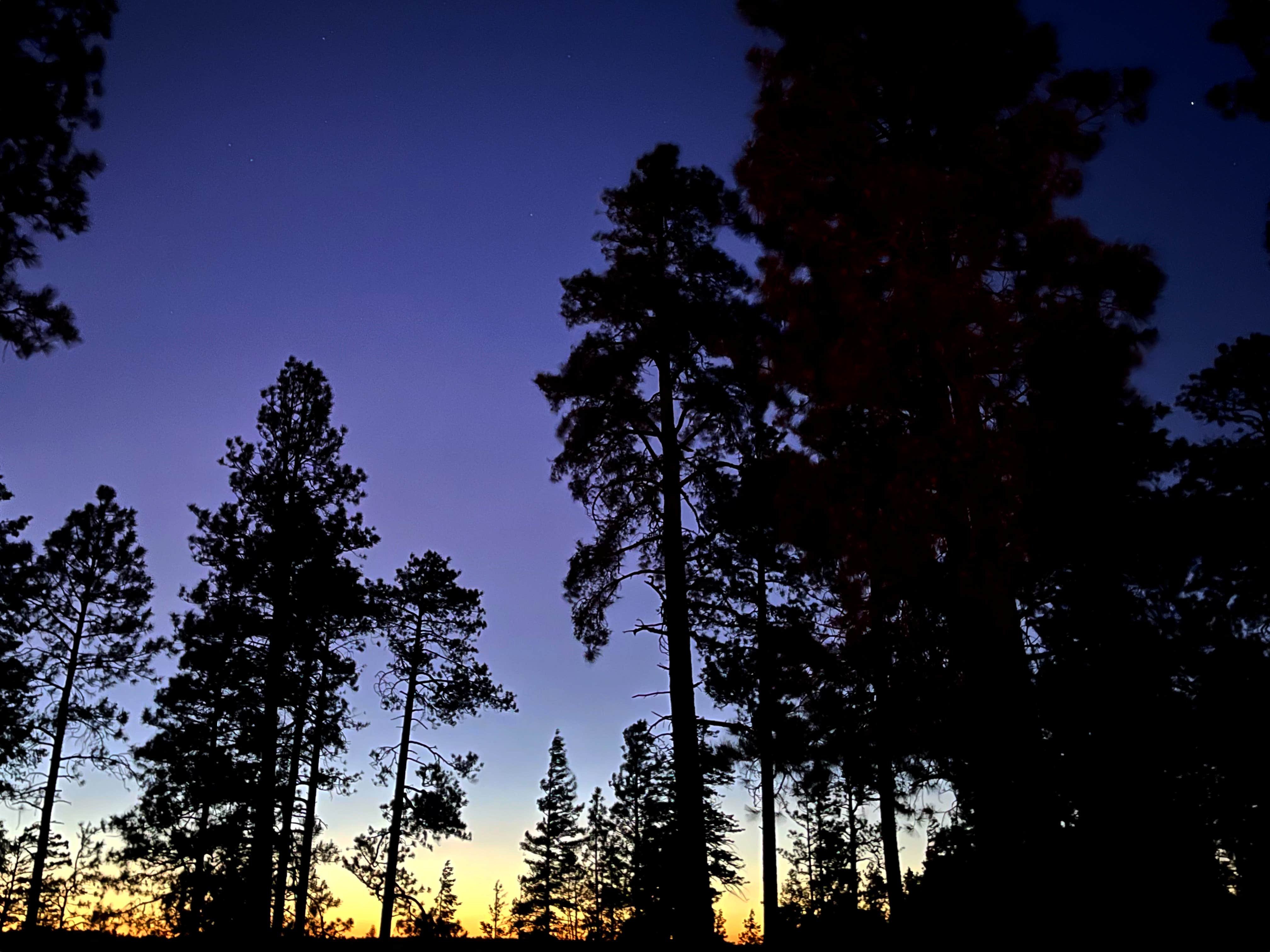 Beth G.'s photo of a dispersed camping area at Fr 237 Camping Area near Young, AZ