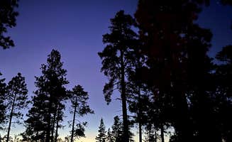 Beth G.'s photo of a dispersed camping area at Fr 237 Camping Area near Young, AZ