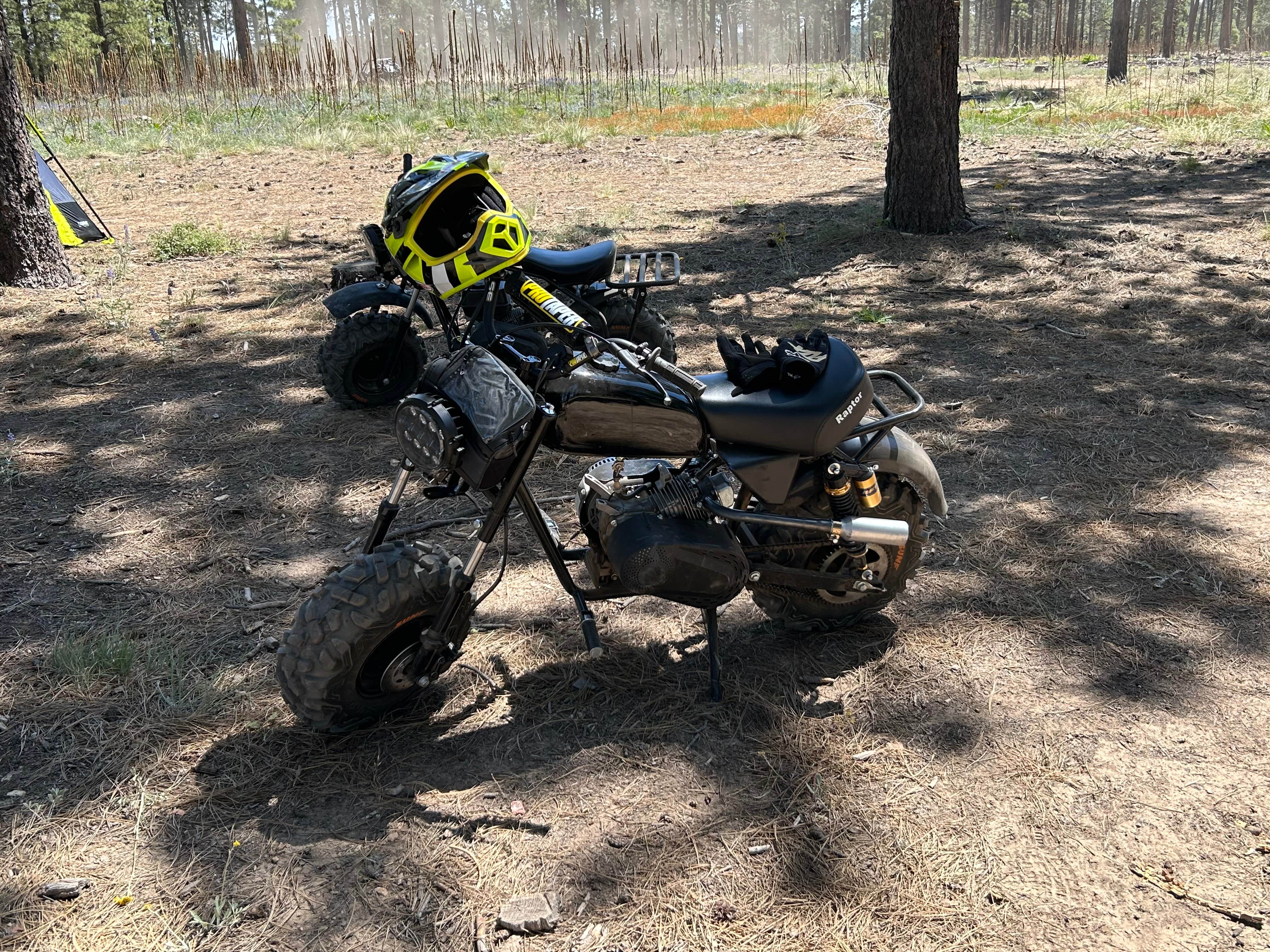 Camping near Chevelon Canyon Lake Campground: Fr 237 Camping Area, Forest Lakes, Arizona