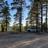 Review photo of Fr 237 Camping Area by Beth G., September 19, 2023