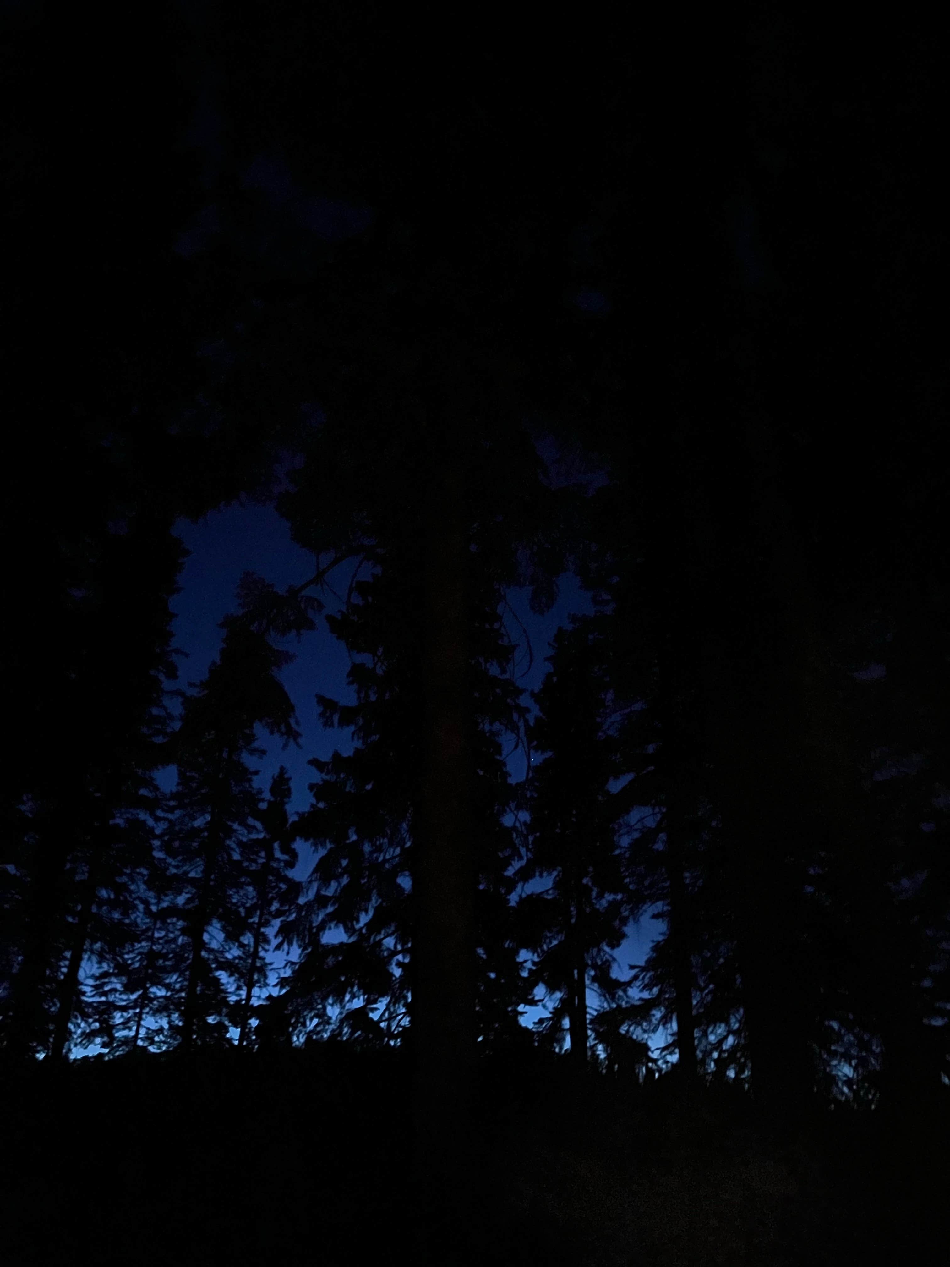 Camping near Christmas Tree Lake: Gabaldon, Greer, Arizona