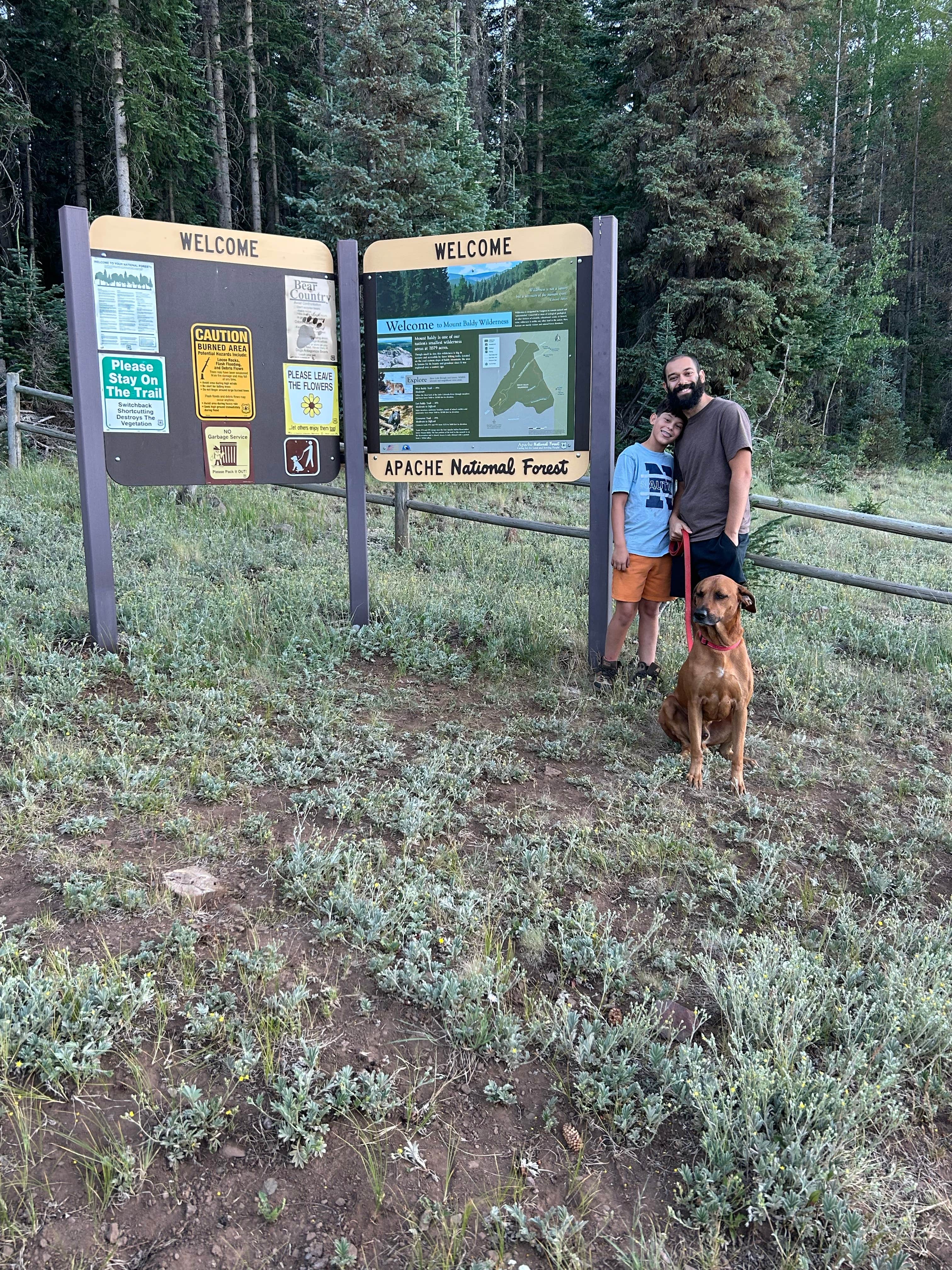 Isaiah G.'s photo of camping with pets at Gabaldon near Springerville, AZ