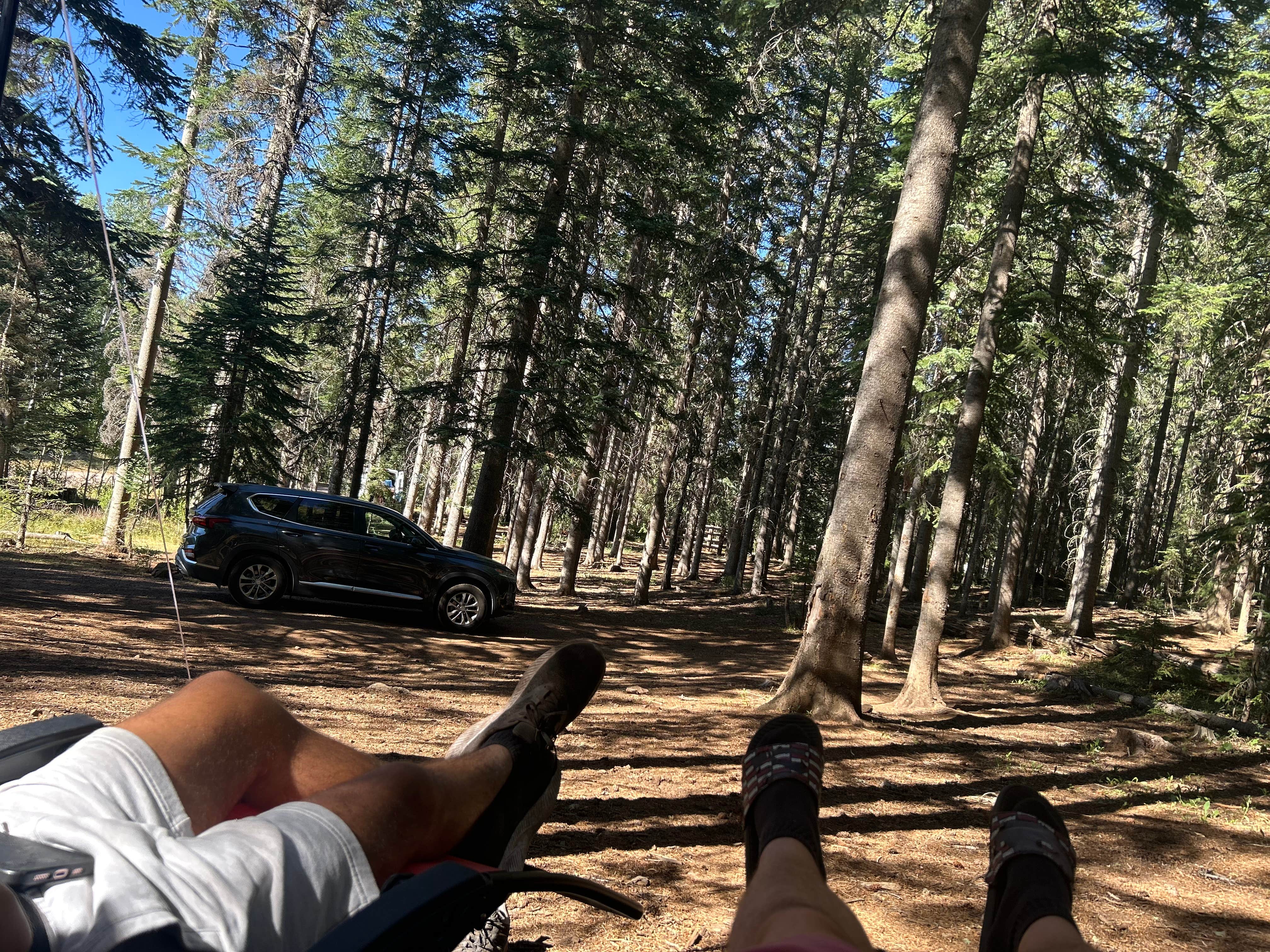 Camper-submitted photo at Gabaldon near Greer, AZ