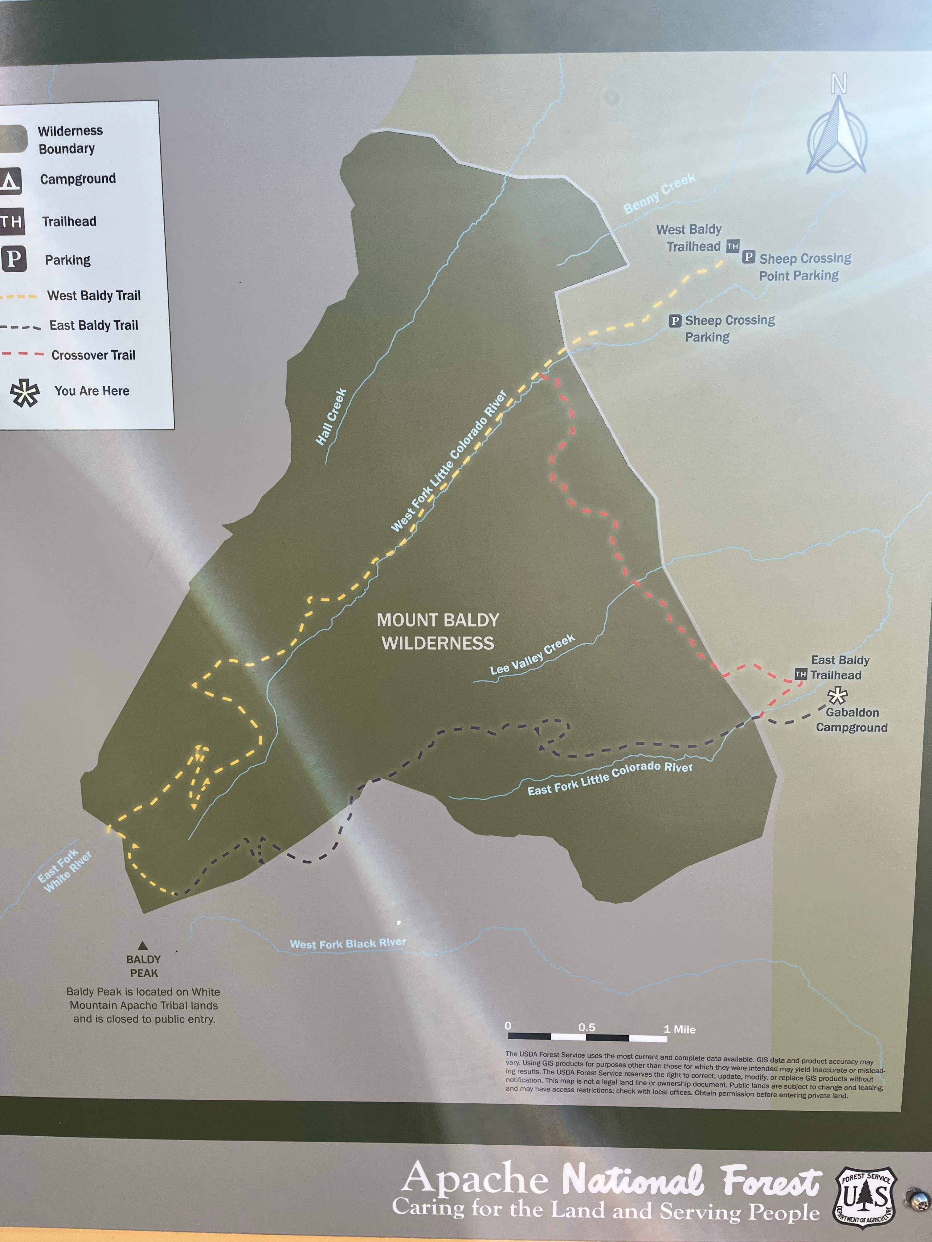 Camper-submitted photo at Gabaldon near Springerville, AZ