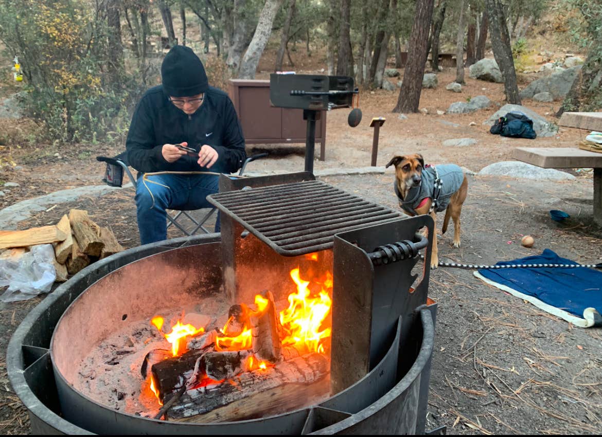 Pedro G.'s photo of camping with pets at General Hitchcock Campground near Saguaro National Park