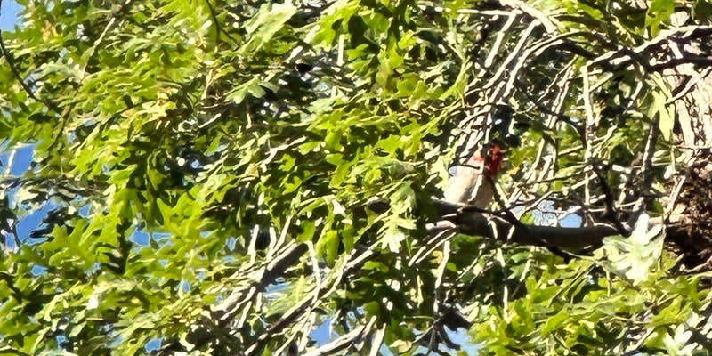 Camper submitted image from Granville Campground