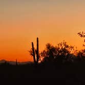 Review photo of Gunsight Wash BLM Dispersed camping area by Allison D., December 18, 2025