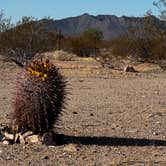 Review photo of Gunsight Wash BLM Dispersed camping area by Christie S., January 8, 2026